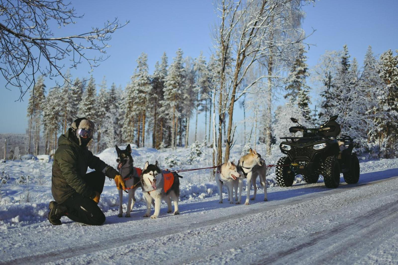 Arctic Ranch Villa Överkalix Eksteriør bilde