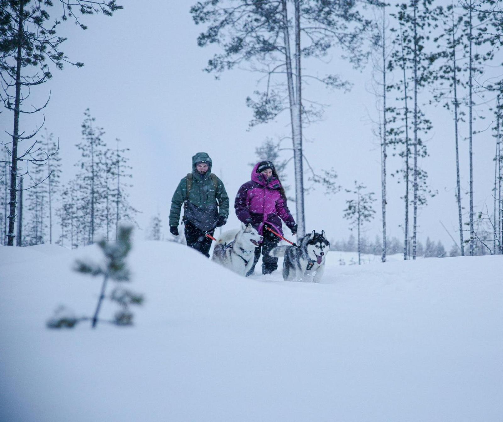 Arctic Ranch Villa Överkalix Eksteriør bilde